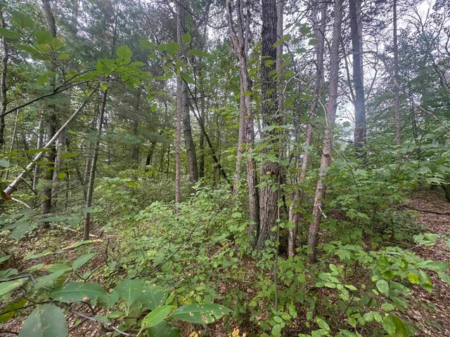 $36,900 | Knollwood Court, Unit 75, Shawano, WI 54166