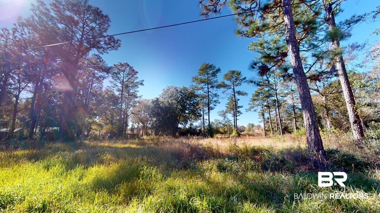 803 Ashford Road Mobile, AL 36608 - Photo 3 of 7 View of landscape