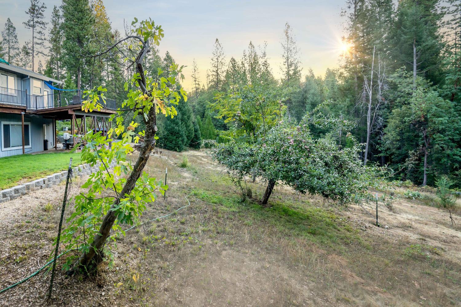 12401 Old Mine Road Grass Valley, CA 95945 - Photo 11 of 87