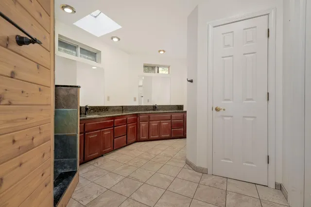 a view of a forest with trees in the background