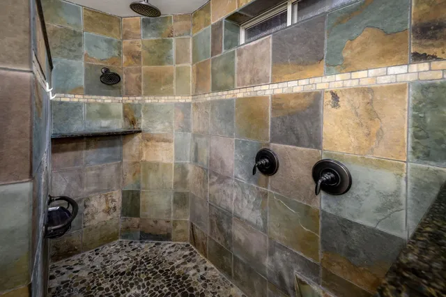 a view of a forest with trees in the background