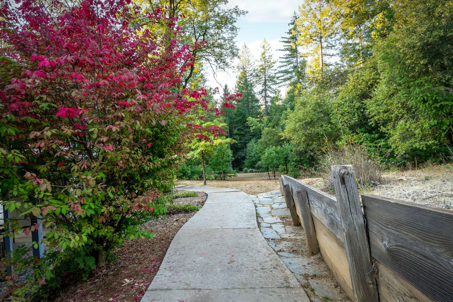 12401 Old Mine Road Grass Valley, CA 95945 - Photo 74 of 87