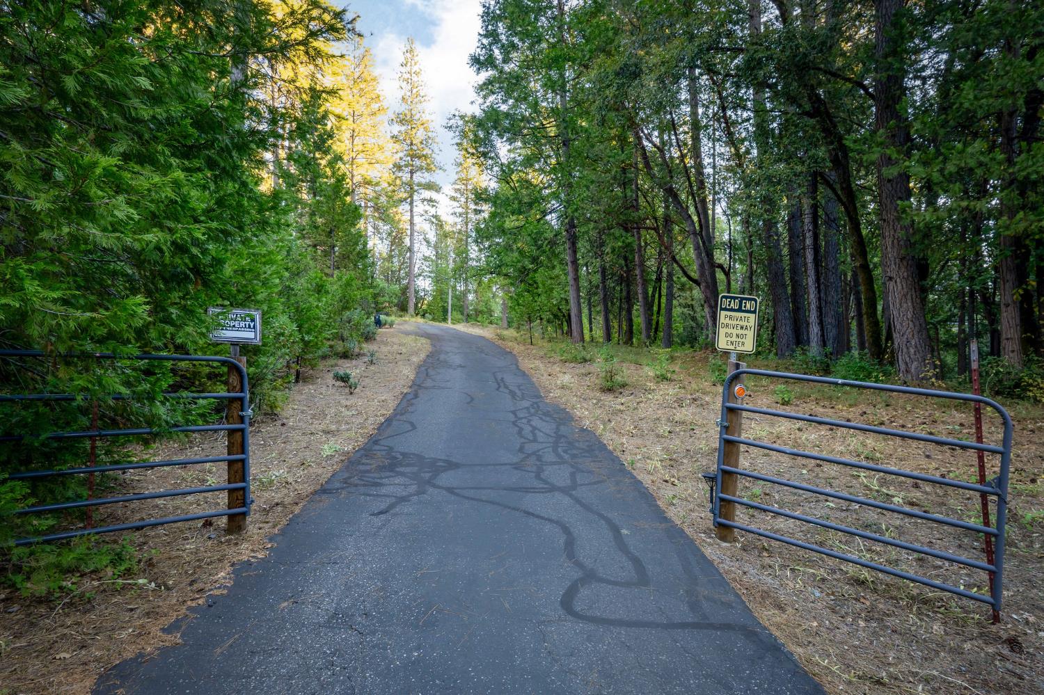 12401 Old Mine Road Grass Valley, CA 95945 - Photo 82 of 87 a view of a park with large trees
