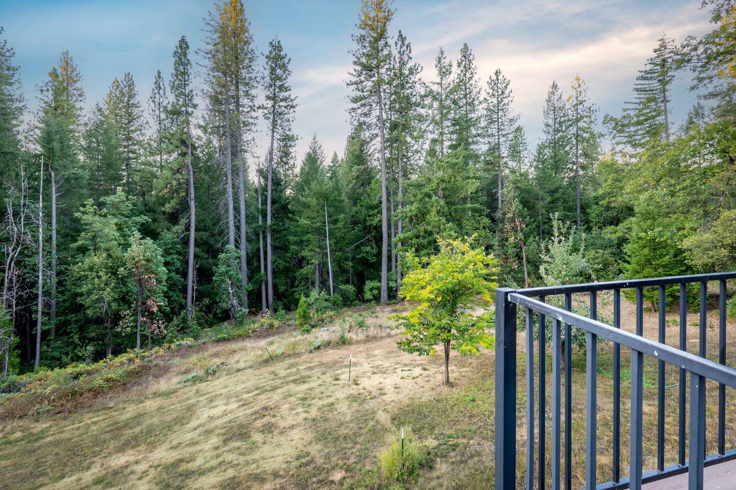 12401 Old Mine Road Grass Valley, CA 95945 - Photo 9 of 87