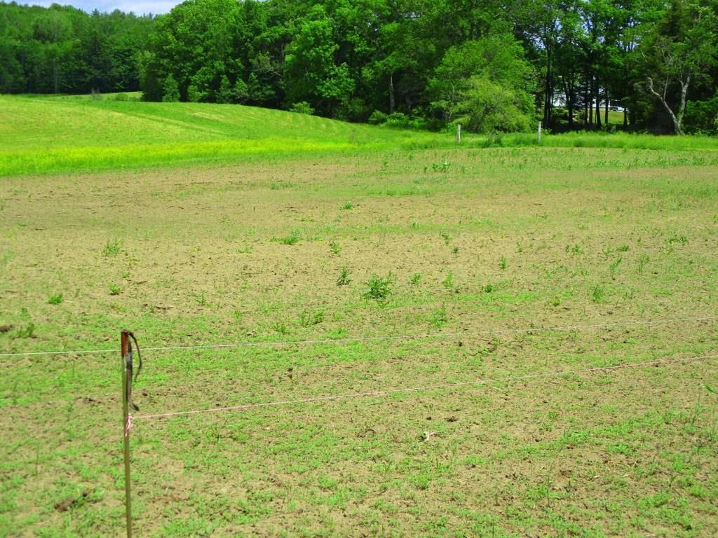 175 Webster Road Farmington, ME 04938 - Photo 33 of 35 Photo