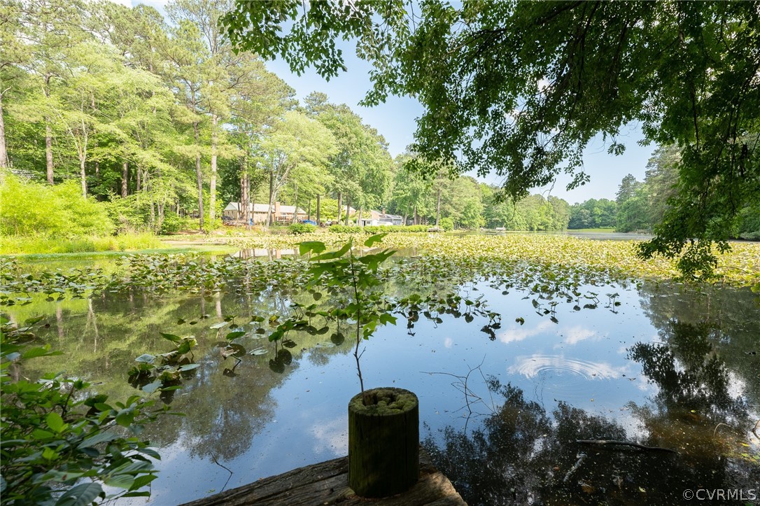 1121 Hybla Road North Chesterfield, VA 23236 - Photo 43 of 44 Gallery Image 43