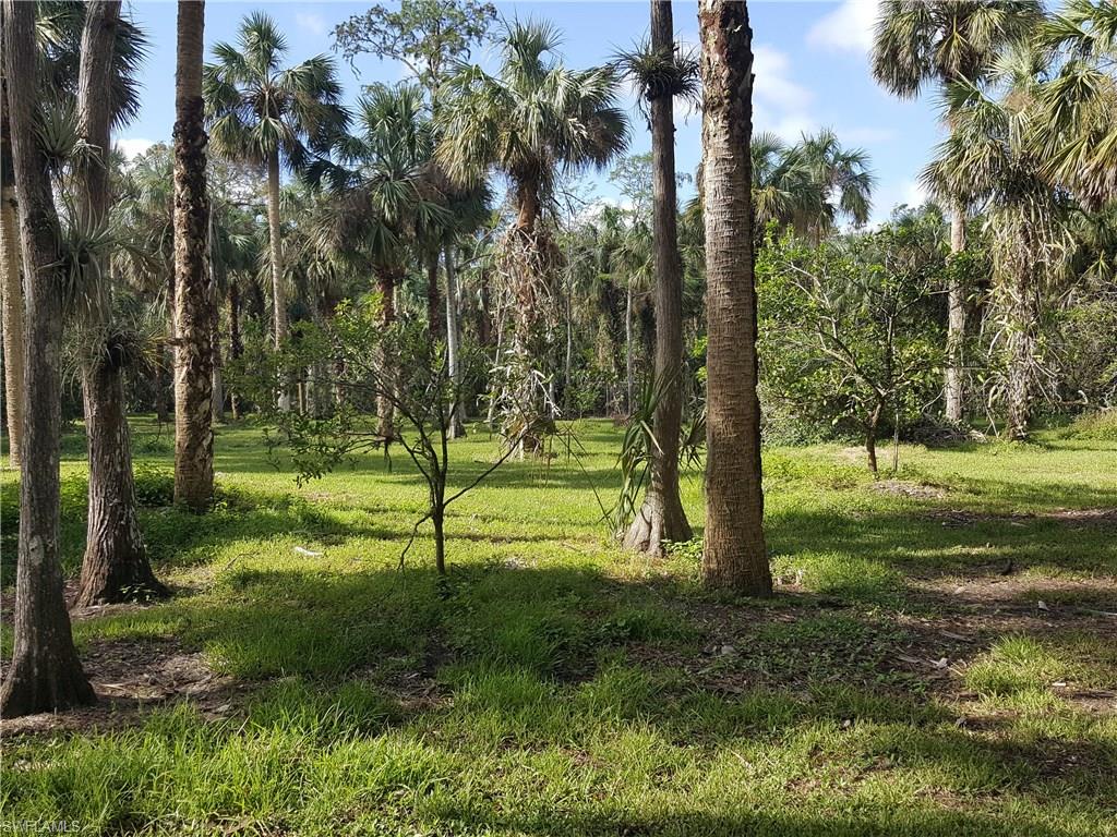 2221 Krape Road Naples, FL 34120 - Photo 14 of 24 a view of a park