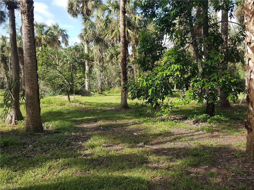 2221 Krape Road Naples, FL 34120 - Photo 15 of 24 a view of a trees in a yard