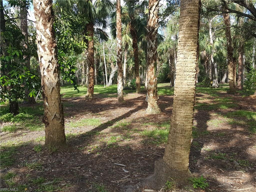 2221 Krape Road Naples, FL 34120 - Photo 16 of 24 a view of a yard with trees