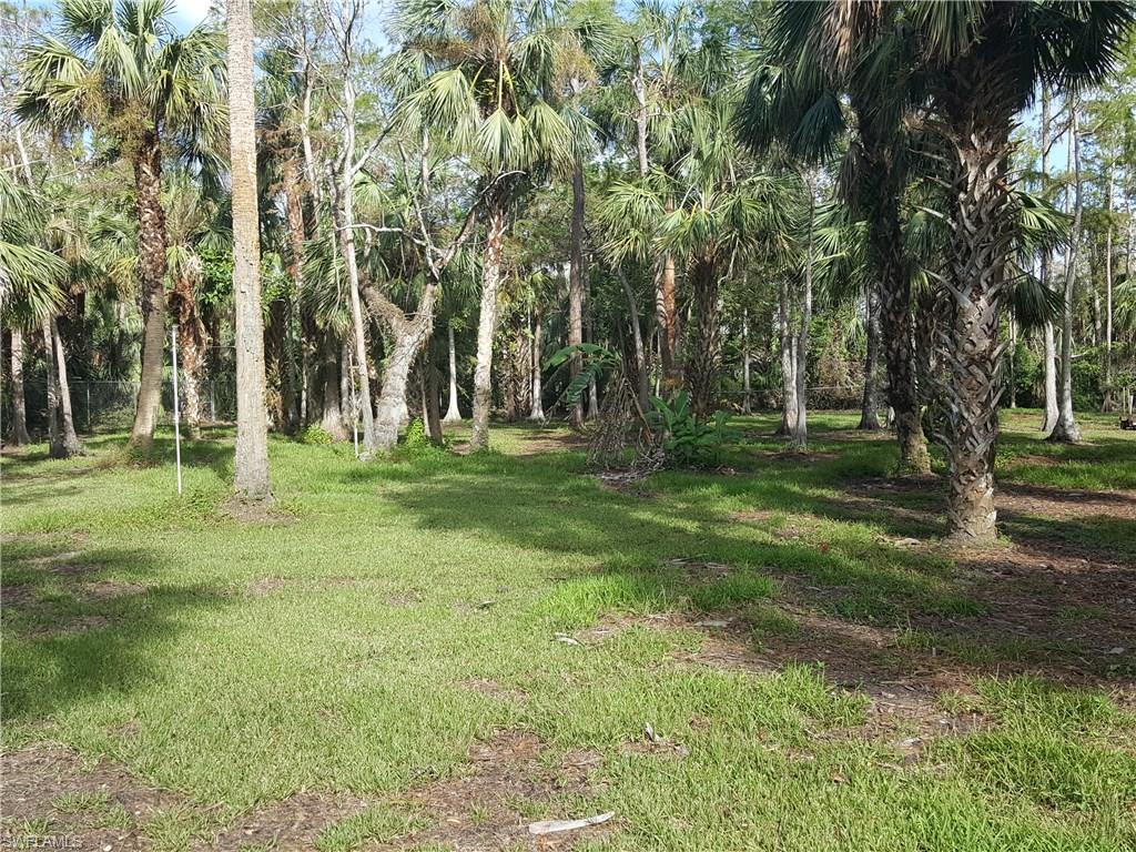 2221 Krape Road Naples, FL 34120 - Photo 17 of 24 a ground with lots of trees