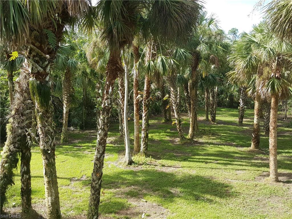 2221 Krape Road Naples, FL 34120 - Photo 22 of 24 a view of a yard with a tree