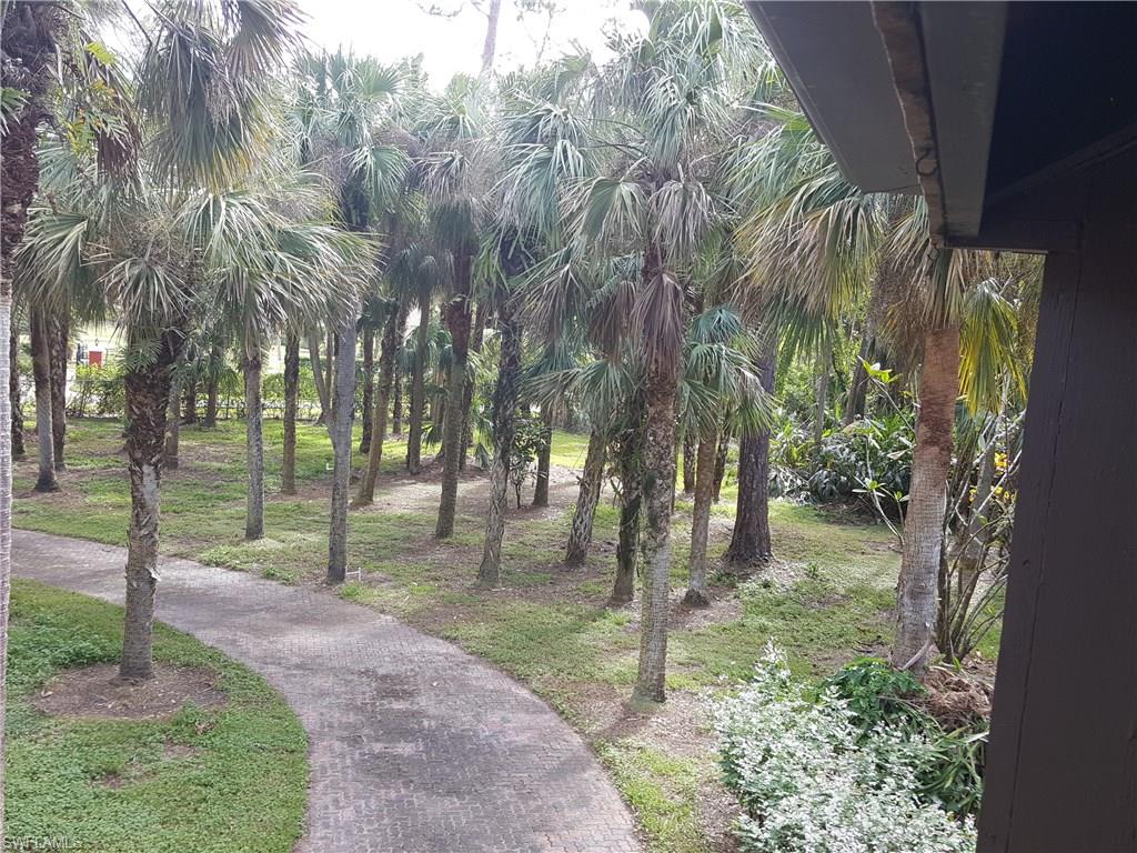 2221 Krape Road Naples, FL 34120 - Photo 23 of 24 a backyard of a house with lots of green space