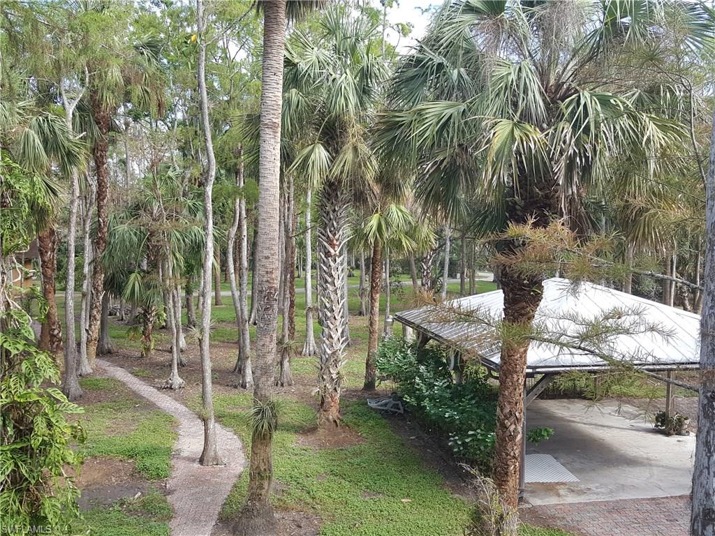 2221 Krape Road Naples, FL 34120 - Photo 24 of 24 a view of a yard with plants