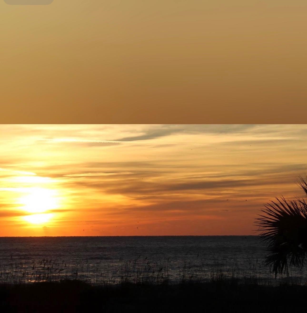 1914 Lark Surfside Beach, SC 29575 - Photo 56 of 68