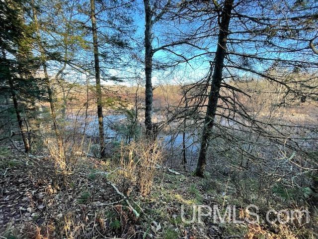 11812 East Howen Road Long Lake, WI 54542 - Photo 2 of 20