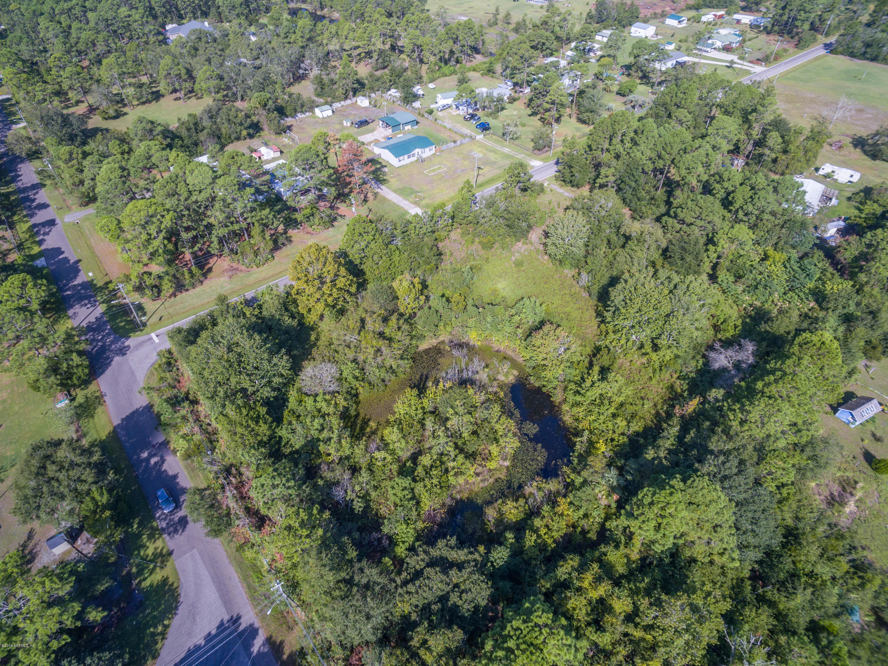 10161 Sawpit Road Jacksonville, FL 32226 - Photo 3 of 4 a view of a forest that has a tree
