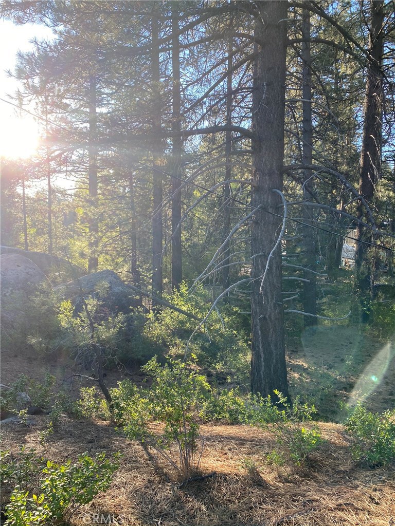 0 Cienega Road Big Bear Lake, CA 92315 - Photo 1 of 29 a backyard of a house with lots of green space