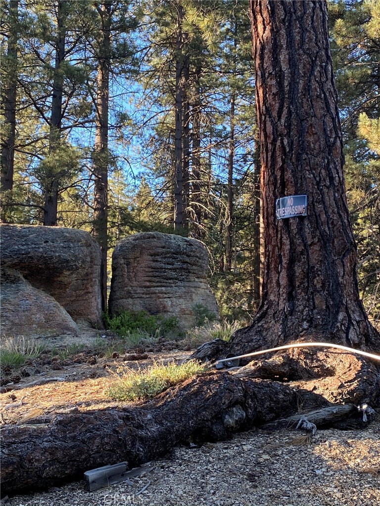 0 Cienega Road Big Bear Lake, CA 92315 - Photo 11 of 29