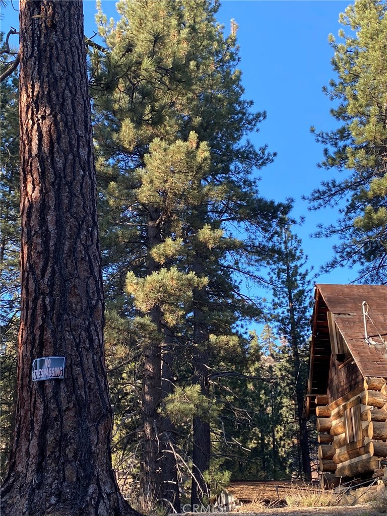 0 Cienega Road Big Bear Lake, CA 92315 - Photo 12 of 29 a backyard of a house