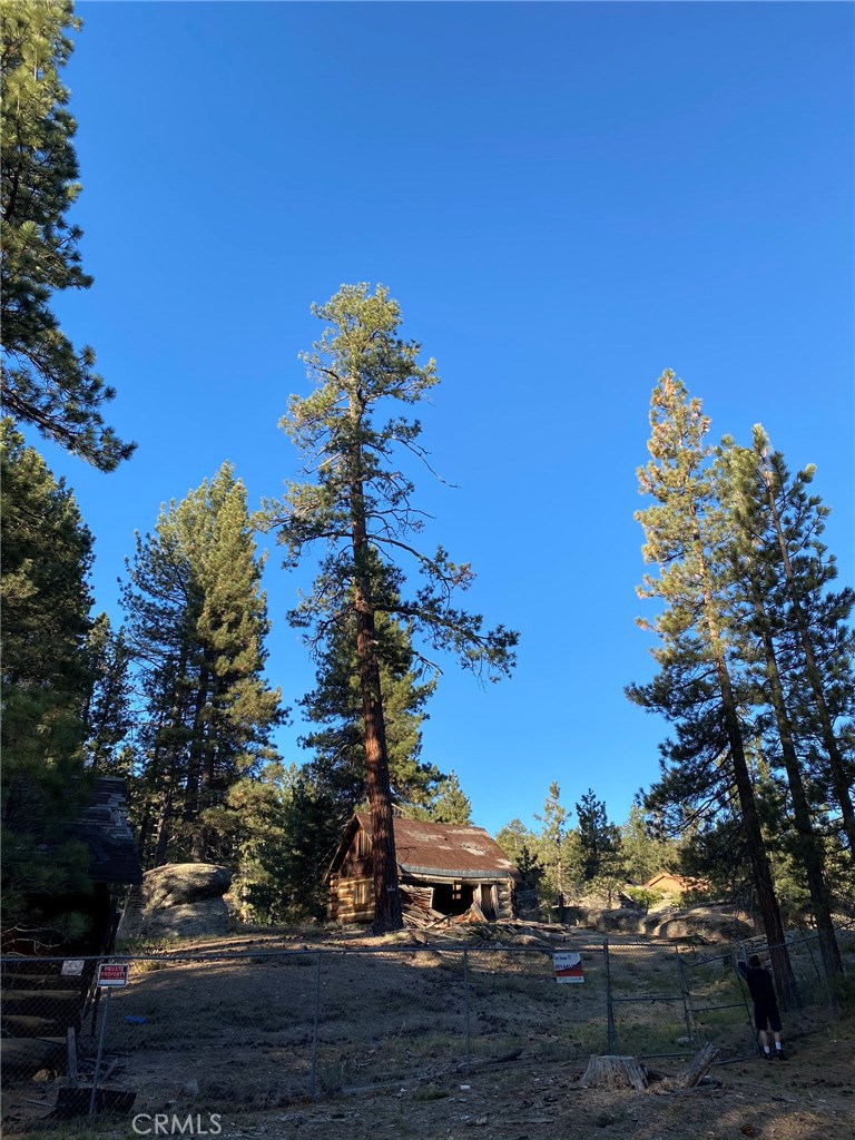 0 Cienega Road Big Bear Lake, CA 92315 - Photo 13 of 29 a view of a flower in a yard