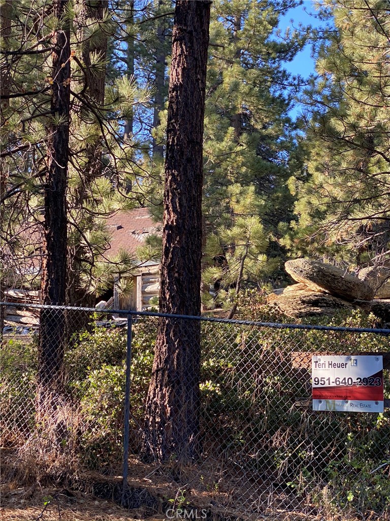 0 Cienega Road Big Bear Lake, CA 92315 - Photo 18 of 29 a view of a yard