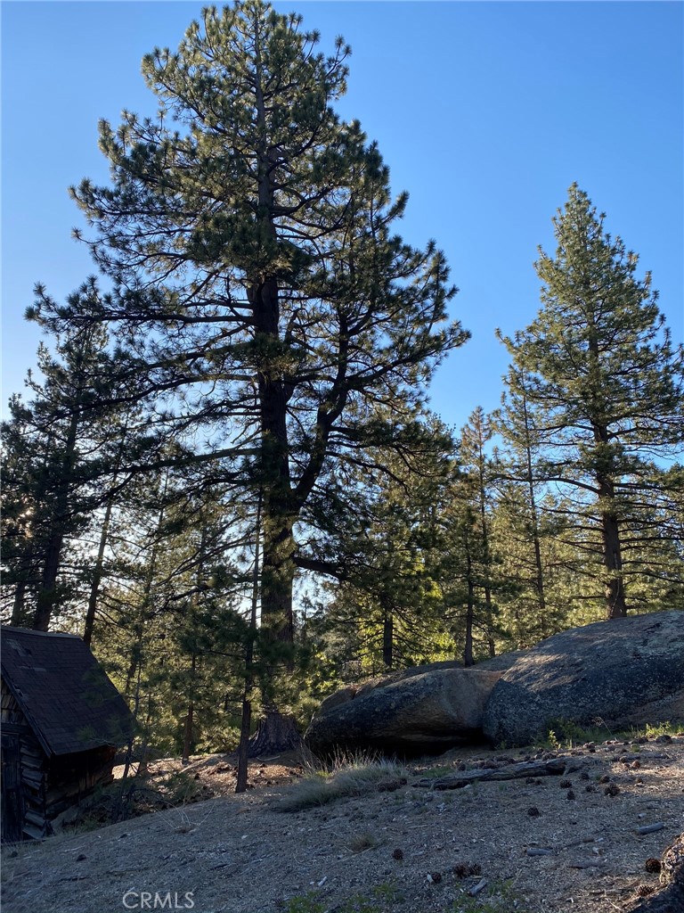 0 Cienega Road Big Bear Lake, CA 92315 - Photo 19 of 29 a view of outdoor space and yard