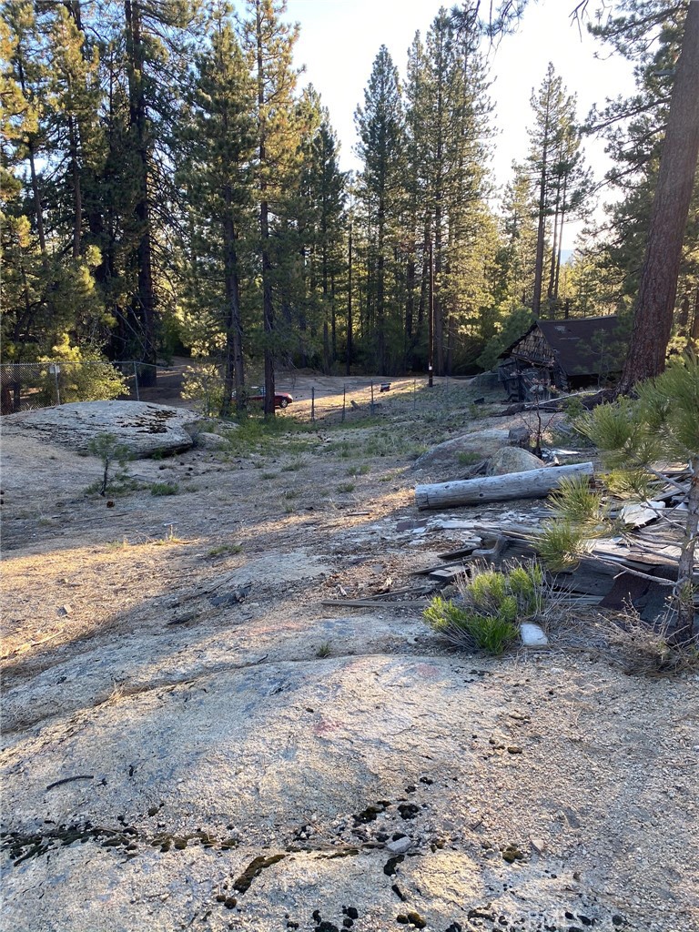 0 Cienega Road Big Bear Lake, CA 92315 - Photo 21 of 29 a view of a backyard with large trees