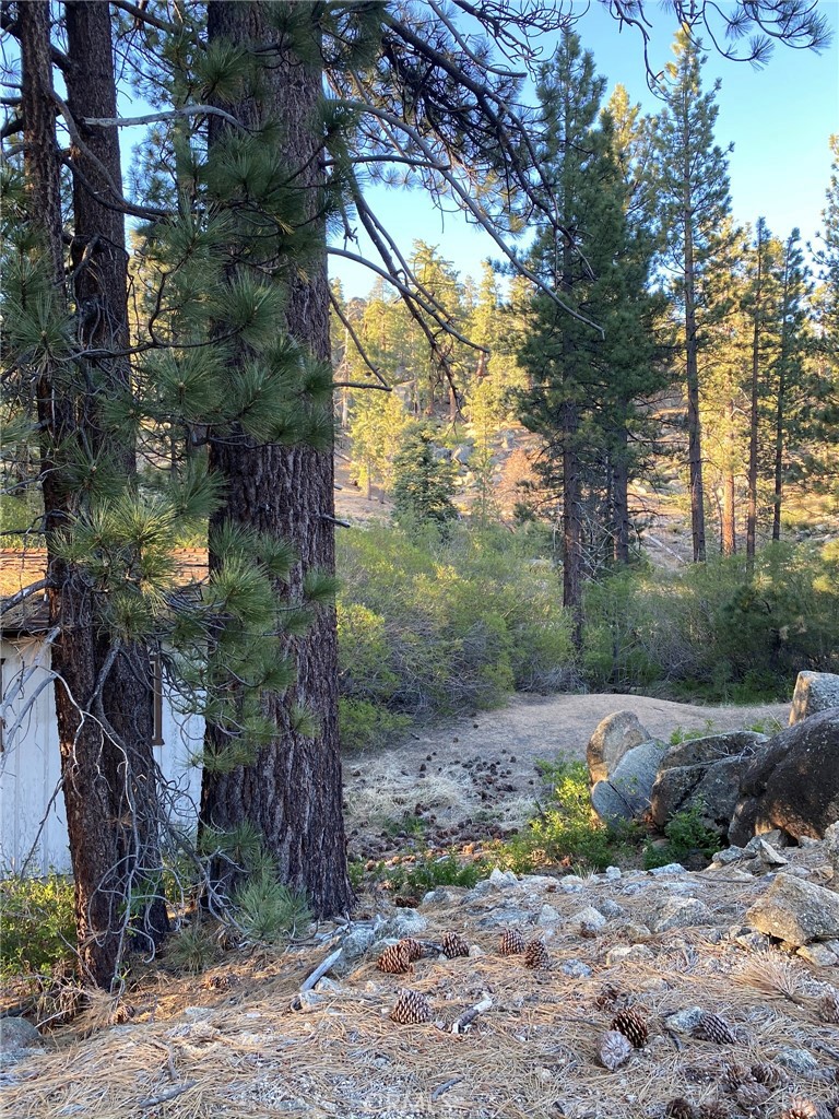 0 Cienega Road Big Bear Lake, CA 92315 - Photo 26 of 29
