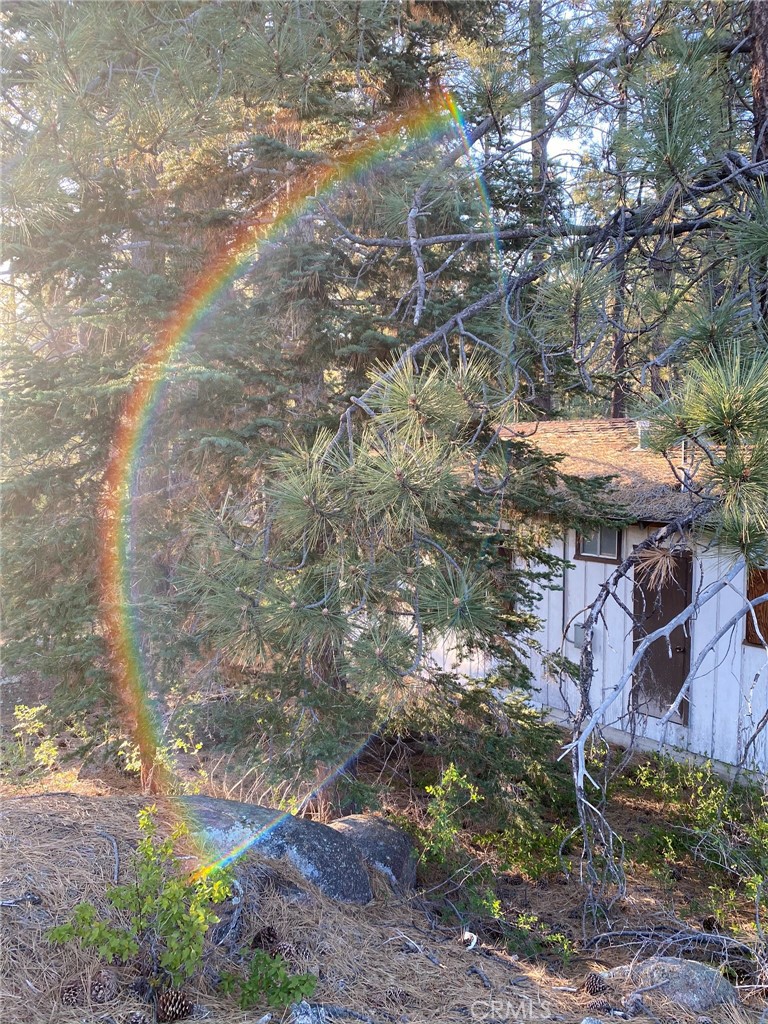 0 Cienega Road Big Bear Lake, CA 92315 - Photo 27 of 29 a backyard of a house with lots of green space