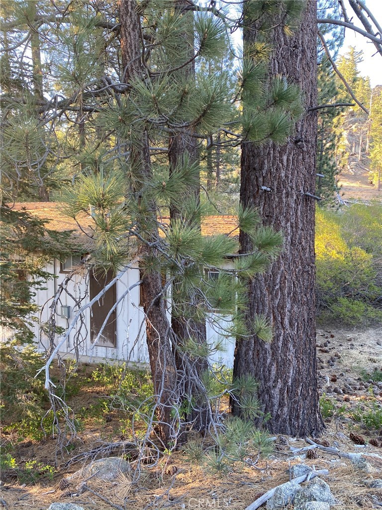 0 Cienega Road Big Bear Lake, CA 92315 - Photo 28 of 29 a backyard of a house with lots of green space