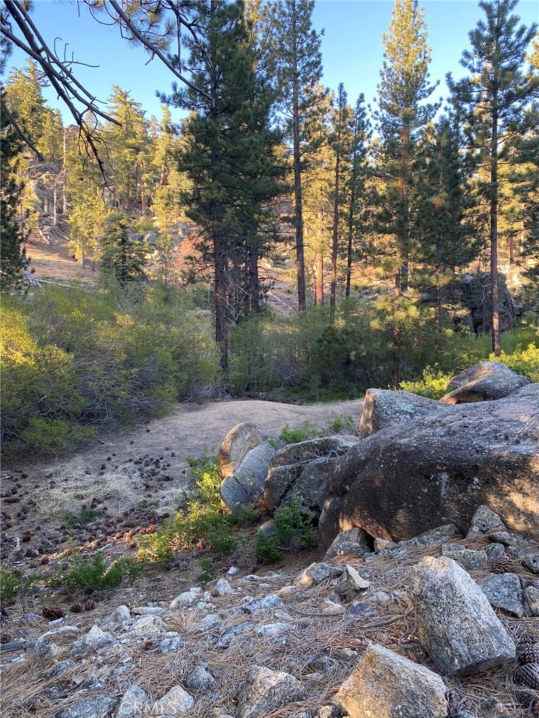 0 Cienega Road Big Bear Lake, CA 92315 - Photo 29 of 29 a view of a dry yard with trees