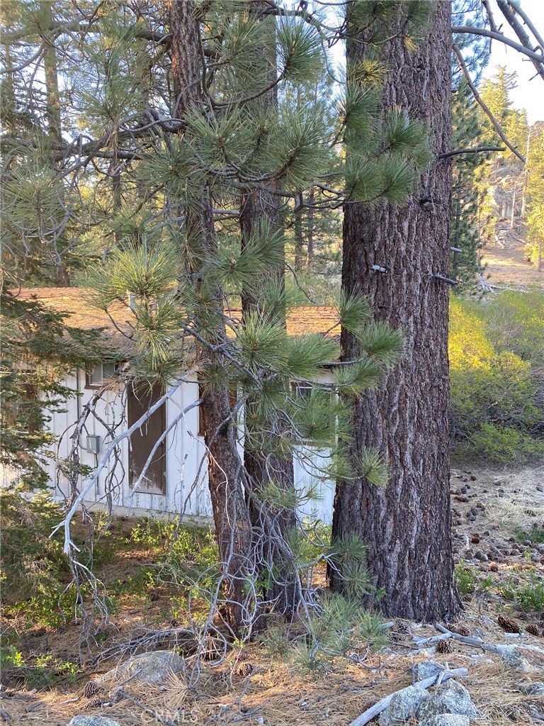 0 Cienega Road Big Bear Lake, CA 92315 - Photo 9 of 29 a backyard of a house with lots of green space