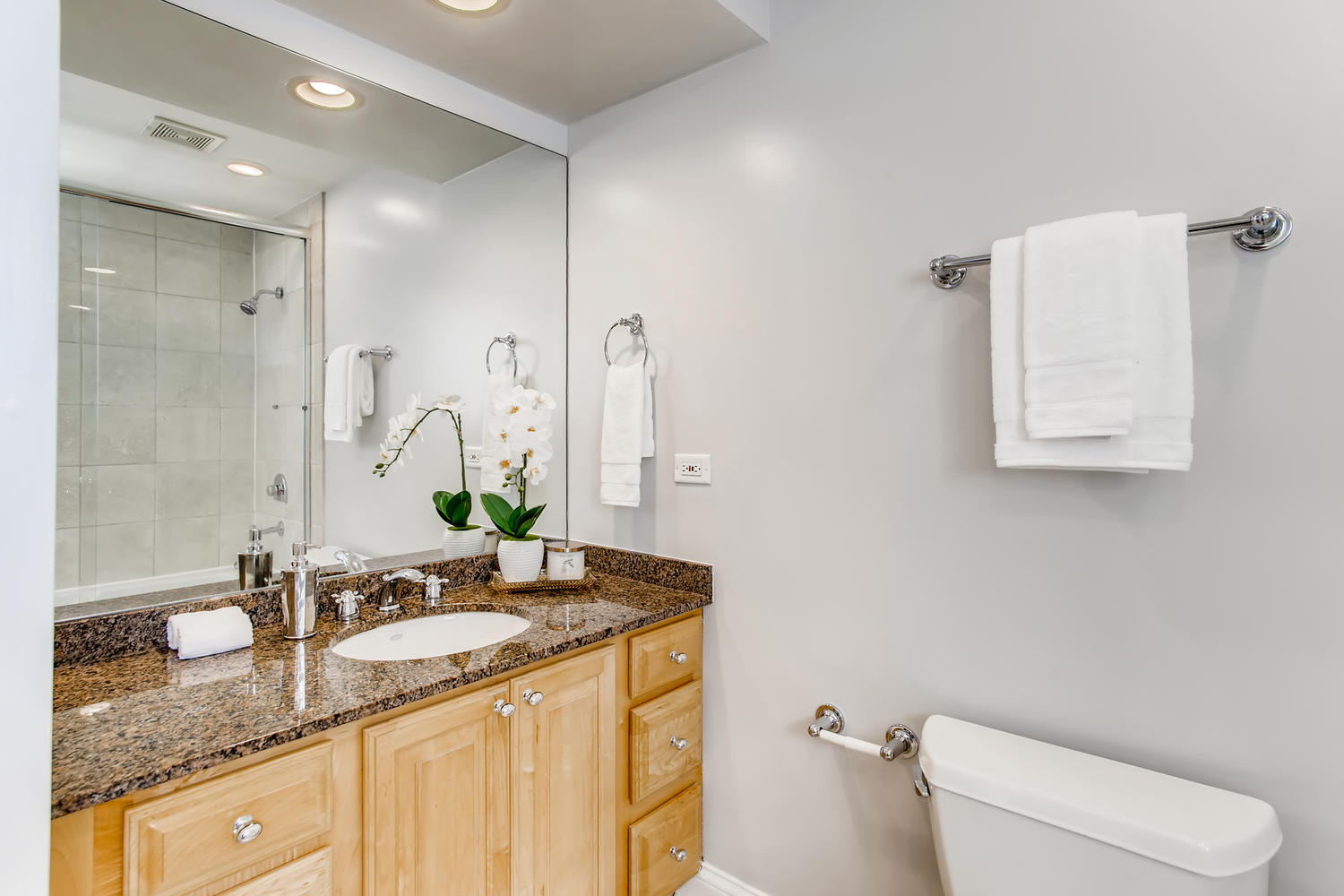 728 West Addison Street, Unit G Chicago, IL 60613 - Photo 10 of 11