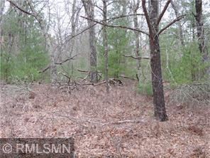 Lot 1 Lake 26 Road Danbury, WI 54830 - Photo 1 of 1 Gallery Image 1