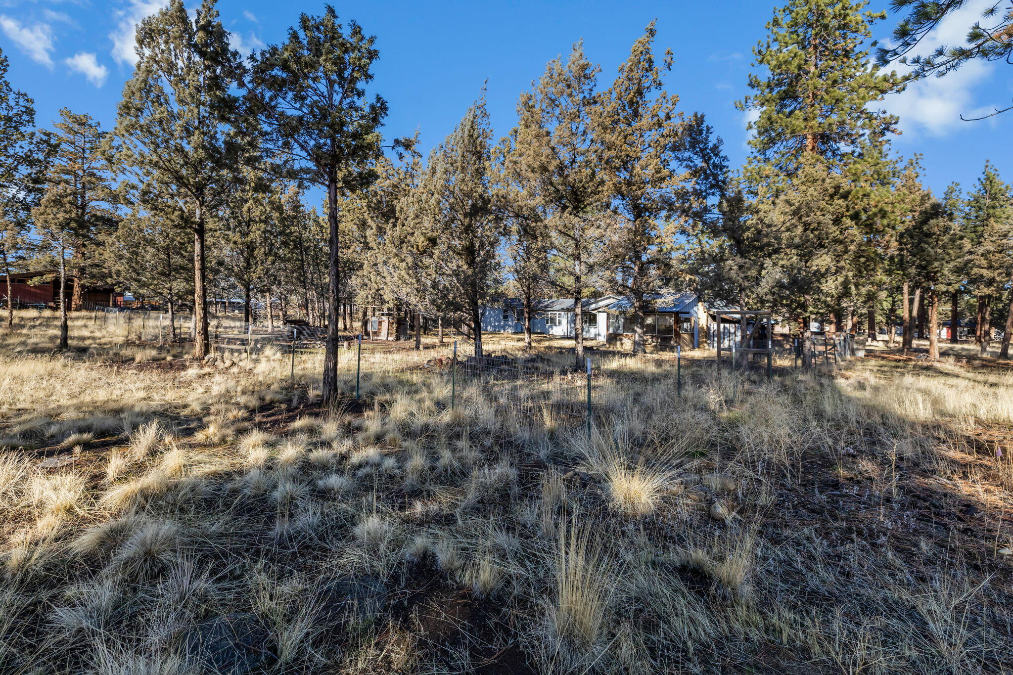 17235 Kent Road Sisters, OR 97759 - Photo 26 of 35 2024_12_27_17235_kent_road_sisters-27