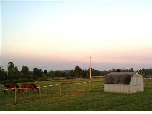 525 Lee Miller Road Leitchfield, KY 42754 - Photo 25 of 25 Additional Photo