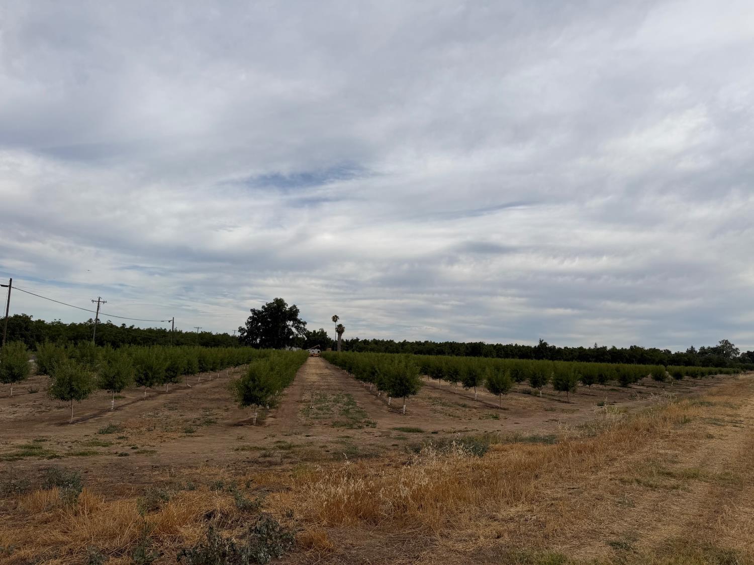 0 Williston Road Live Oak, CA 95953 - Photo 2 of 8