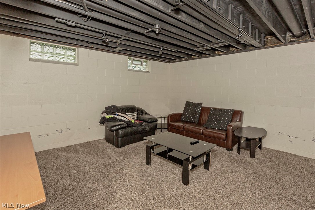 1594 South Green Road Cleveland, OH 44121 - Photo 24 of 29 Gallery Image 24