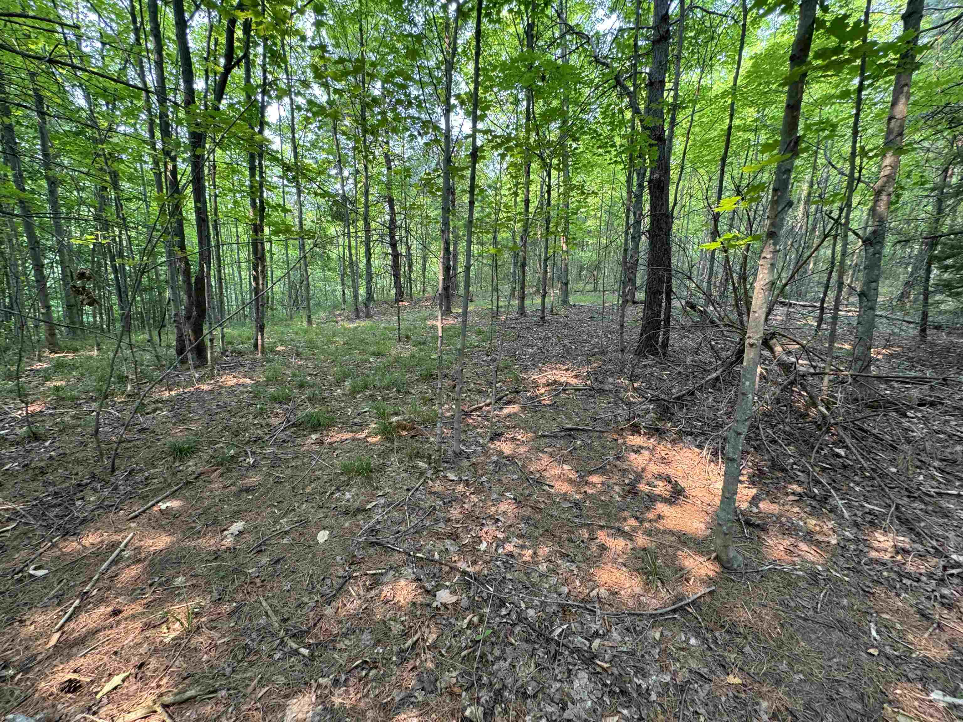 Lot #2 East Bellinger Road, Unit BELLINGER ESTATES Cedar, MI 49621 - Photo 16 of 19