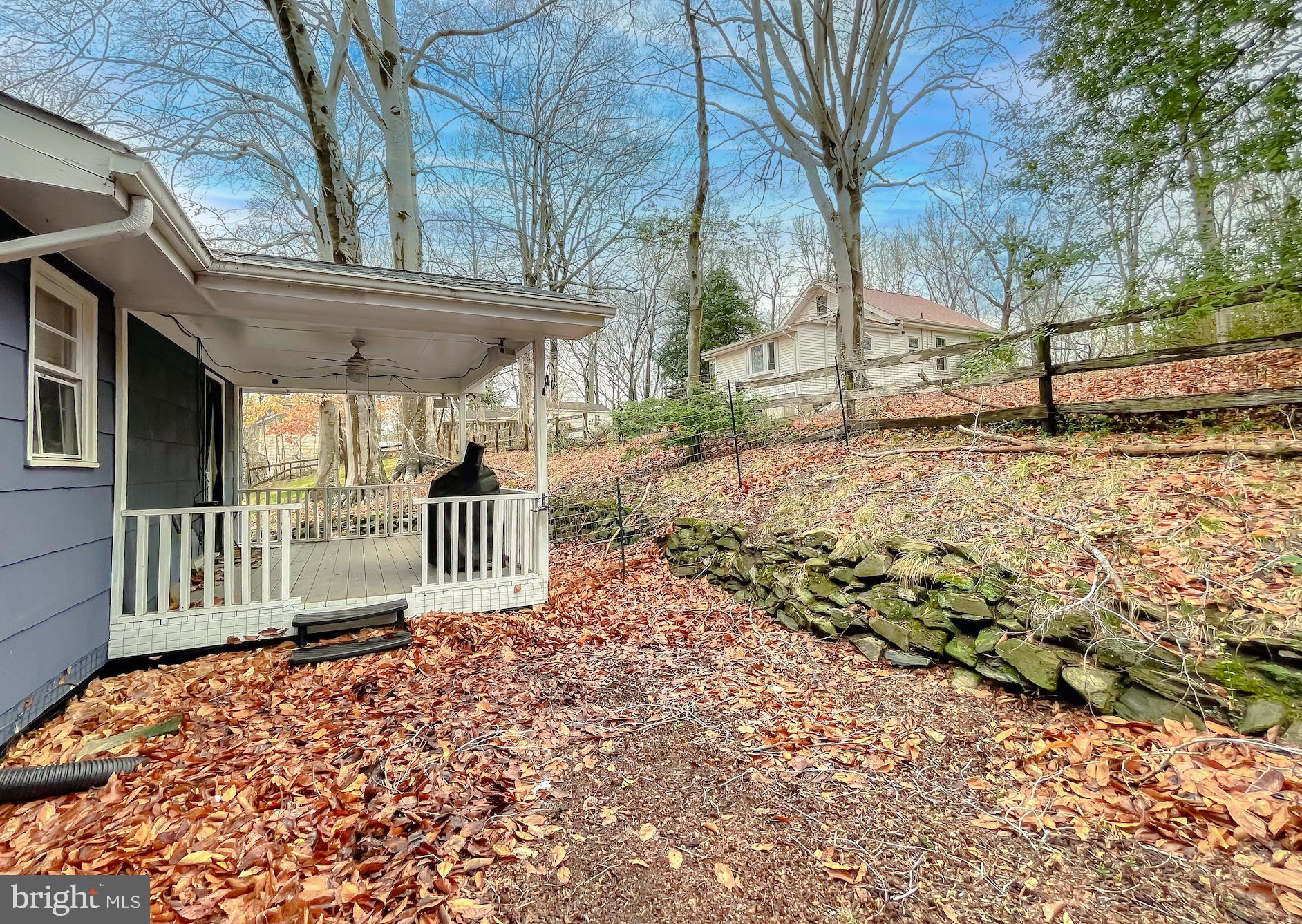 6056 Fir Road St. Leonard, MD 20685 - Photo 36 of 39 a backyard of a house with a large tree