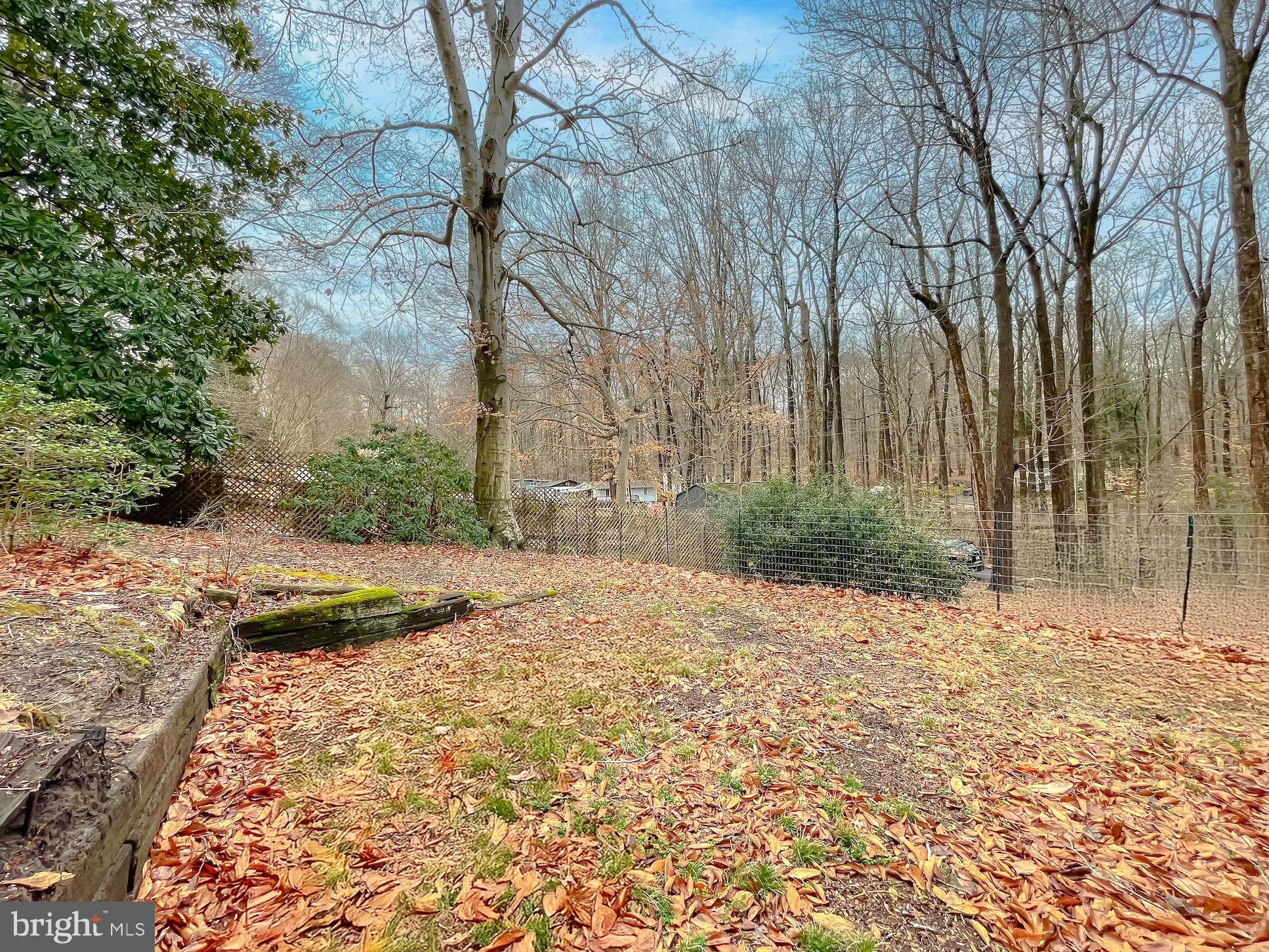 6056 Fir Road St. Leonard, MD 20685 - Photo 38 of 39 a backyard of a house with large trees