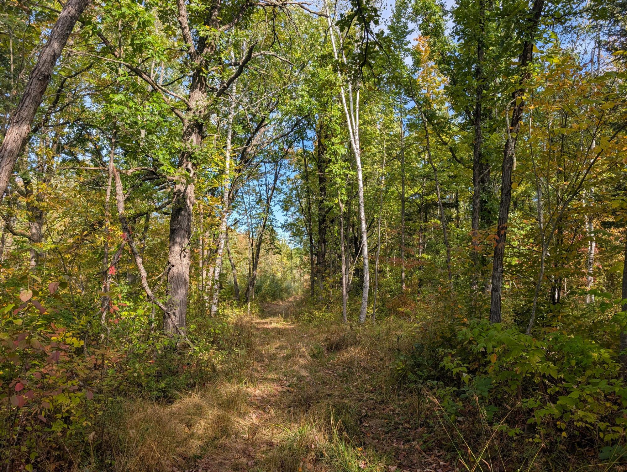 Off Birch Lake Road Exeland, WI 54835 - Photo 36 of 44 Gallery Image 36