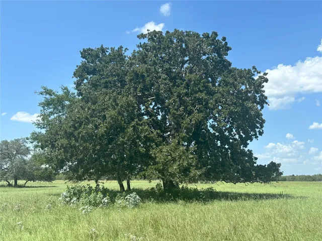 a view of an outdoor space and a yard
