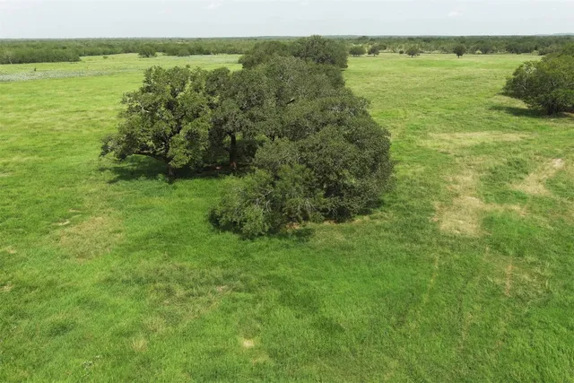 a view of a green field with lots of trees