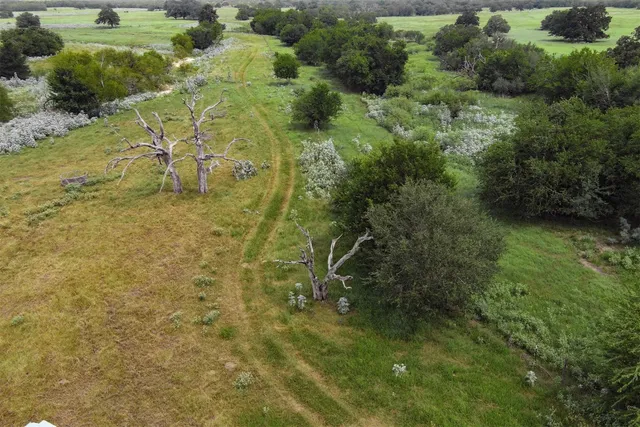 a view of a yard with an outdoor space