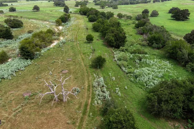 a view of outdoor space with yard