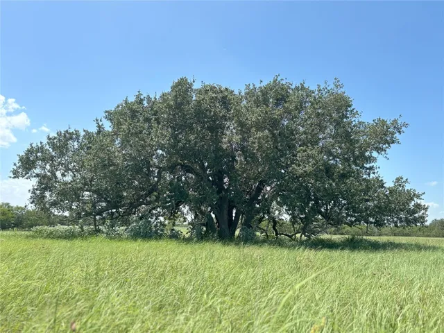 a view of yard with green space