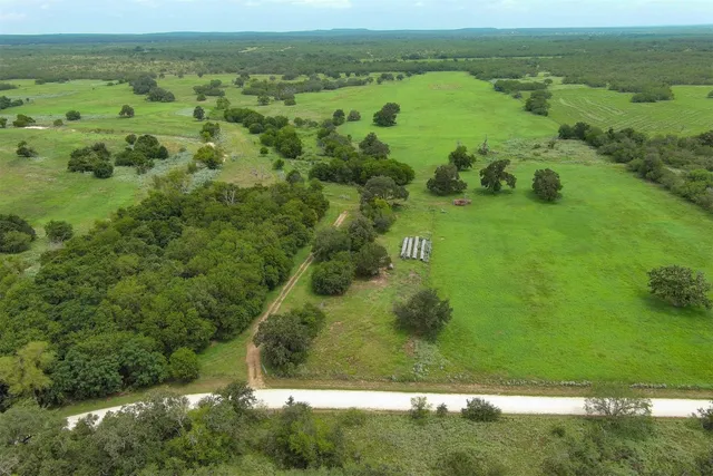 a view of a large green field with plants and large trees