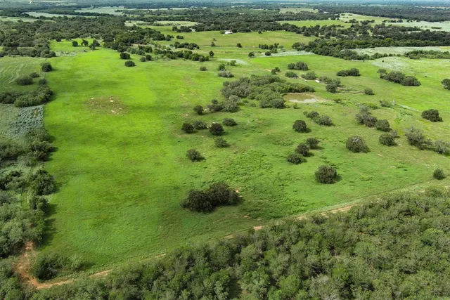 a view of a green field with lots of plants
