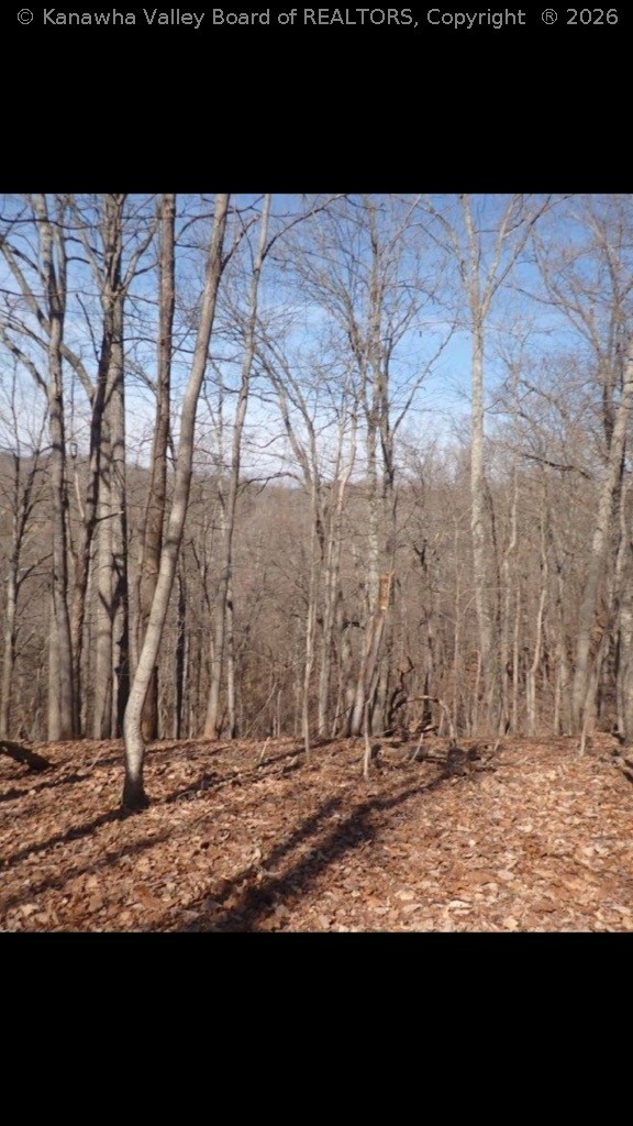 0 Horselick Road Gallipolis Ferry, WV 25515 - Photo 4 of 14 Gallery Image 4